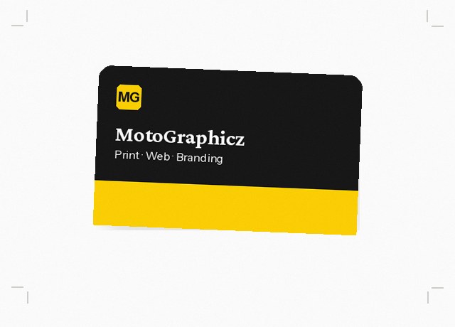 Foil and raised gloss business cards main view